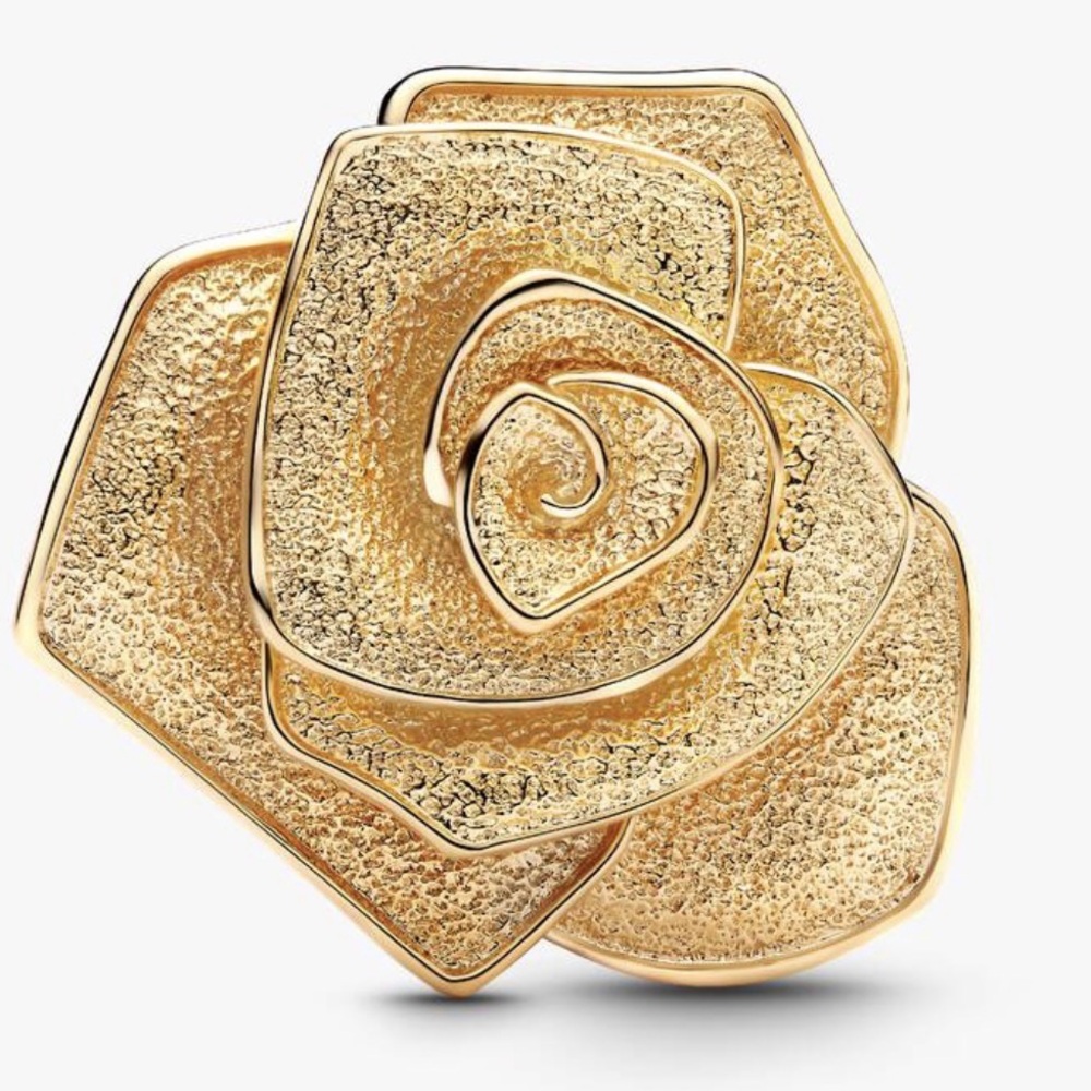 Pandora Rose in Bloom Oversized Charm